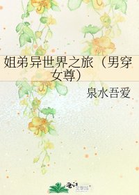 姐弟异世界之旅(男穿女尊)