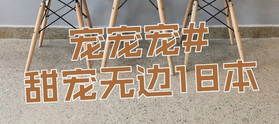 宠宠宠#甜宠无边18本